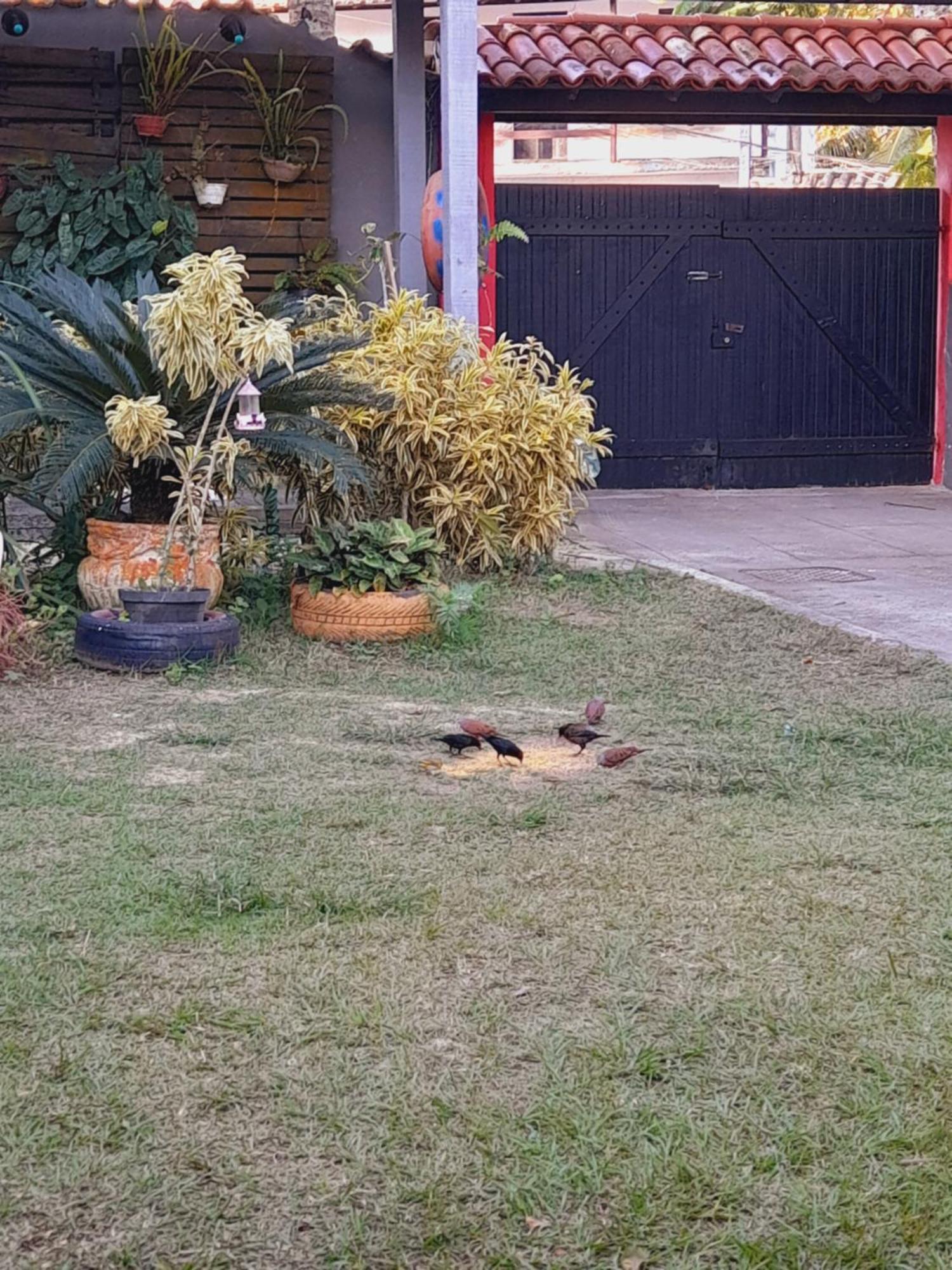 Pousada Flora Buzios Exterior foto